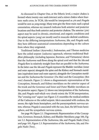 AcupunctureandtheChakraEnergySystem 2.pdf