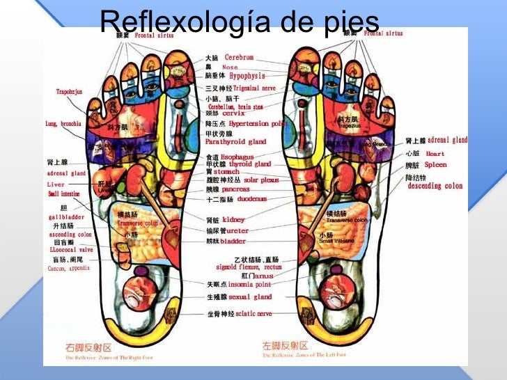 Puntos Del Pie Medicina China Acupuntura China