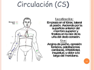 Circulación (CS ) Localización: Empieza en el tórax, lateral al pezón. Asciende por la superficie anterior del miembro superior y finaliza en la raíz de la uña del dedo corazón. Uso:   Angina de pecho, opresión torácica, palpitaciones  cardiacas, irritabilidad, inquietud, y dolor a lo largo del meridiano. 