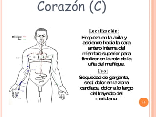 Corazón (C) Localización: Empieza en la axila y asciende hacia la cara antero interna del miembro superior para finalizar en la raíz de la uña del meñique. Uso:   Sequedad de garganta, sed, dolor en la zona cardiaca, dolor a lo largo del trayecto del meridiano. 