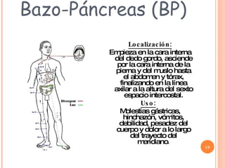 Bazo-Páncreas (BP) Localización: Empieza en la cara interna del dedo gordo, asciende por la cara interna de la pierna y del muslo hasta el abdomen y tórax, finalizando en la línea axilar a la altura del sexto espacio intercostal. Uso:   Molestias gástricas, hinchazón, vómitos, debilidad, pesadez del cuerpo y dolor a lo largo del trayecto del meridiano . 