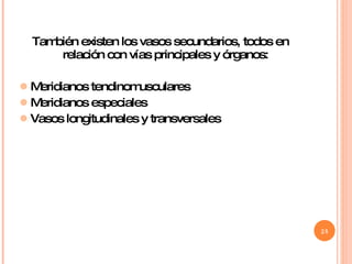 También existen los vasos secundarios, todos en relación con vías principales y órganos: Meridianos tendinomusculares Meridianos especiales Vasos longitudinales y transversales 