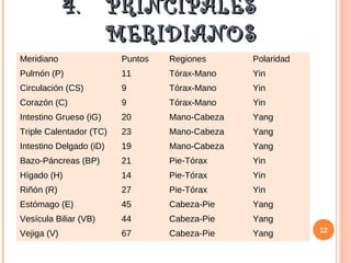 4.4. PRINCIPALESPRINCIPALES
MERIDIANOSMERIDIANOS
Meridiano Puntos Regiones Polaridad
Pulmón (P) 11 Tórax-Mano Yin
Circulación (CS) 9 Tórax-Mano Yin
Corazón (C) 9 Tórax-Mano Yin
Intestino Grueso (iG) 20 Mano-Cabeza Yang
Triple Calentador (TC) 23 Mano-Cabeza Yang
Intestino Delgado (iD) 19 Mano-Cabeza Yang
Bazo-Páncreas (BP) 21 Pie-Tórax Yin
Hígado (H) 14 Pie-Tórax Yin
Riñón (R) 27 Pie-Tórax Yin
Estómago (E) 45 Cabeza-Pie Yang
Vesícula Biliar (VB) 44 Cabeza-Pie Yang
Vejiga (V) 67 Cabeza-Pie Yang 12
 