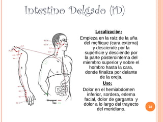 Intestino Delgado (iD)
Localización:
Empieza en la raíz de la uña
del meñique (cara externa)
y desciende por la
superficie y desciende por
la parte posterointerna del
miembro superior y sobre el
hombro hasta la cara,
donde finaliza por delante
de la oreja.
Uso:
Dolor en el hemiabdomen
inferior, sordera, edema
facial, dolor de garganta y
dolor a lo largo del trayecto
del meridiano.
18
 