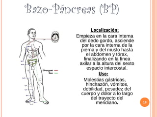 Bazo-Páncreas (BP)
Localización:
Empieza en la cara interna
del dedo gordo, asciende
por la cara interna de la
pierna y del muslo hasta
el abdomen y tórax,
finalizando en la línea
axilar a la altura del sexto
espacio intercostal.
Uso:
Molestias gástricas,
hinchazón, vómitos,
debilidad, pesadez del
cuerpo y dolor a lo largo
del trayecto del
meridiano. 19
 