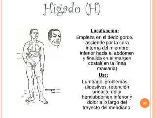 Hígado (H)
Localización:
Empieza en el dedo gordo,
asciende por la cara
interna del miembro
inferior hacia el abdomen
y finaliza en el margen
costal( en la línea
mamaria)
Uso:
Lumbago, problemas
digestivos, retención
urinaria, dolor
hemiabdomen inferior y
dolor a lo largo del
trayecto del meridiano.
20
 