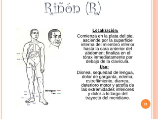 Riñón (R)
Localización:
Comienza en la plata del pie,
asciende por la superficie
interna del miembro inferior
hasta la cara anterior del
abdomen; finaliza en el
tórax inmediatamente por
debajo de la clavícula.
Uso:
Disnea, sequedad de lengua,
dolor de garganta, edema,
estreñimiento, diarrea,
deterioro motor y atrofia de
las extremidades inferiores
y dolor a lo largo del
trayecto del meridiano.
21
 