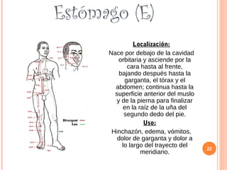 Estómago (E)
Localización:
Nace por debajo de la cavidad
orbitaria y asciende por la
cara hasta al frente,
bajando después hasta la
garganta, el tórax y el
abdomen; continua hasta la
superficie anterior del muslo
y de la pierna para finalizar
en la raíz de la uña del
segundo dedo del pie.
Uso:
Hinchazón, edema, vómitos,
dolor de garganta y dolor a
lo largo del trayecto del
meridiano.
22
 