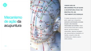 C VÁRIOS SÃO OS
MECANISMOS PELOS QUAIS
A ACUPUNTURA ATUA E SE
MOSTRA ÚTIL NO
TRATAMENTO DE DOENÇAS
O modelo neuroquímico, de forma
geral, sugere que a Acupuntura
estimula as terminações nervosas
da pele e dos músculos
relacionados aos sentidos. Esses
nervos enviam sinais para a medula
espinal, que envia sinais ao
mesencéfalo. Algumas mensagens
são retransmitidas ao hipotálamo e à
hipófise, enquanto outras são
enviadas para o tálamo e para o
córtex cerebral.
Mecanismo
de ação da
acupuntura
 