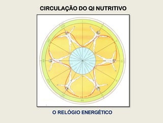 O RELÓGIO ENERGÉTICO
CIRCULAÇÃO DO QI NUTRITIVO
 