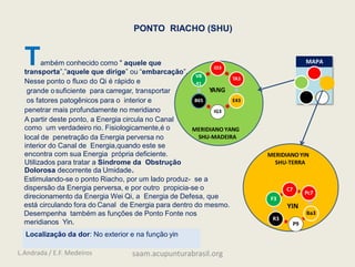 PONTO RIACHO (SHU)
YANG
YIN
Estimulando-se o ponto Riacho, por um lado produz- se a
dispersão da Energia perversa, e por outro propicia-se o
direcionamento da Energia Wei Qi, a Energia de Defesa, que
está circulando fora do Canal de Energia para dentro do mesmo.
Desempenha também as funções de Ponto Fonte nos
meridianos Yin.
MAPA
MERIDIANO YANG
SHU-MADEIRA
MERIDIANO YIN
SHU-TERRA
C7
Pc7
Ba3
P9
R3
F3
ID3
TA3
E43
IG3
B65
VB
41
Localização da dor: No exterior e na função yin
Também conhecido como " aquele que
transporta”,”aquele que dirige” ou “embarcação”.
Nesse ponto o fluxo do Qi é rápido e
grande osuficiente para carregar, transportar
os fatores patogênicos para o interior e
penetrar mais profundamente no meridiano
A partir deste ponto, a Energia circula no Canal
como um verdadeiro rio. Fisiologicamente,é o
local de penetração da Energia perversa no
interior do Canal de Energia,quando este se
encontra com sua Energia própria deficiente.
Utilizados para tratar a Síndrome da Obstrução
Dolorosa decorrente da Umidade.
L.Andrada / E.F. Medeiros saam.acupunturabrasil.org
 