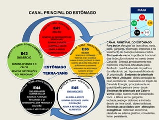 E41
E36
E45
E44
E43
CANAL PRINCIPAL DO ESTÔMAGO
E41
JING-RIO
REMOVE AS OBSTRUÇÕESDO
MERIDIANO
ELIMINA O VENTO
ELIMINA O CALOR
LIMPA A MENTE
ILUMINA OS OLHOS
E36
HE-MAR
BENEFICIA O ESTÔMAGO
TONIFICA O QI E OSANGUE
DISSIPA O FRIOE FORTALECE O CORPO
ILUMINA OS OLHOS, REGULARIZA O
QI NUTRITIVO EDEFENSIVO
REGULARIZA OS INTESTINOSE
AUMENTA OYANG
EXPELE O VENTO E A UMIDADE E
RESOLVE OEDEMA.
E45
JING-NASCENTE
ACALMA A MENTE
ILUMINA OS OLHOS LIMPA
O CORAÇÃO
ALIVIA A RETENÇÃO DOS
ALIMENTOS
E44
YING-MANANCIAL
ELIMINA OCALOR
ELIMINA A PLENITUDE
REGULARIZA O QI
INTERROMPE A DOR PROMOVE A
DIGESTÃO
ELIMINA O VENTO DAFACE
E43
SHU-RIACHO
ELIMINA O VENTO E O
CALOR
REMOVE OBSTRUÇÕES
DO MERIDIANO
MAPA
CANAL PRINCIPAL DO ESTÔMAGO
Para tratar afecções da face,olhos, nariz,
boca, garganta, estomago, intestinos e no
tratamento de doenças mentais e febris.
Sintomas de vazio: impotência funcional
dos músculos situados no trajeto desse
Canal de Energia, principalmente nos
membros inferiores,dificuldade para
flexão do quadril,extensão do joelho e
dorsiflexão do pé, hipossensibilidade do
2ª.pódodactilo Sintomas de plenitude
por Frio e Umidade: dores,sensação de
peso,contraturas musculares no trajeto do
Canal de Energia, principalmente no
quadril,joelho,perna e dorso do pé.
Sintomas de plenitude por Calor e
Vento: corpo quente,muita transpiração,
boca e lábios secos, garganta
inchada,pescoço doloroso e inchado,
desvio de rima bucal, dores torácicas.
Sintomas associados com alterações
energéticas: distensão abdominal,
plenitude ou edema gástrico, convulsões,
fome persistente.
ESTÔMAGO
TERRA-YANG
 