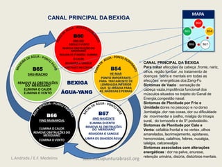 B60
B54
B67
B66
B65
CANAL PRINCIPAL DA BEXIGA
B60
JING-RIO
EXPELE OVENTO
REMOVE OBSTRUÇÕESDO
MERIDIANO
RELAXA OS TENDÔES ELIMINA
OCALOR
REVIGORA O SANGUE
FORTALECE ASCOSTAS
B54
HE-MAR
PONTO IMPORTANTE
PARA TRATAMENTO DE
LOMBALGIA INFERIOR
QUE SE IRRADIA PARA
AS NÁDEGAS EPERNAS
B67
JING-NASCENTE
ELIMINA O VENTO
REMOVE AS OBSTRUÇÕES
DO MERIDIANO
REVIGORA O SANGUE
LIMPA OS OLHOSDEÁGUA
B66
YING-MANANCIAL
ELIMINA O CALOR
REMOVE OBSTRUÇÕES DO
MERIDIANO
ELIMINA O VENTO
B65
SHU-RIACHO
REMOVE AS OBSTRUÇÕES
DO MERIDIANO
ELIMINA O CALOR
ELIMINA O VENTO
BEXIGA
ÁGUA-YANG
MAPA
CANAL PRINCIPAL DA BEXIGA
Para tratar afecções da cabeça ,fronte, nariz,
olhos, região lombar ,no tratamento de
doenças febris e mentais em todas as
afecções energéticas dos Zang-Fu
Sintomas de Vazio : sensação de
cabeça vazia,impotência funcional dos
músculos situados no trajeto do Canal de
Energia,congestão nasal.
Sintomas de Plenitude por Frio e
Umidade:dores no pescoço e no dorso
,lombalgia ,dor nas coxas, dor ou dificuldade
de movimentar o joelho, mialgia do tríceps
sural, do tornozelo e do 5º.pododáctilo.
Sintomas de Plenitude por Calo e
Vento: cefaléia frontal e no vertex ,olhos
amarelados, lacrimejamento, epistaxes,
hemorroidas, calafrios, febres, nucalgia,
talalgia, calcanealgia
Sintomas associados com alterações
energéticas : dor na pelve, enurese,
retenção urinária, disúria, distúrbios mentais.
L.Andrada / E.F. Medeiros saam.acupunturabrasil.org
 