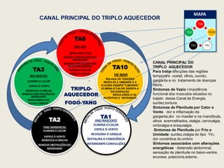 TA6
TA10
TA1
TA2
TA3
CANAL PRINCIPAL DO TRIPLO AQUECEDOR
TA6
JING-RIO
REGULARIZA OQI
REMOVE OBSTRUÇÕESDO
MERIDIANO
REMOVE OBSTRUÇÕESDO
INTESTINOGROSSO
ELIMINA OCALOR
EXPELE OVENTO
TA1
JING-NASCENTE
ELIMINA O CALOR
EXPELE O VENTO
REVIGORA O SANGUE
RESTAURA A CONSCIÊNCIA
INTERROMPECONVULSÕES
TA2
YING-MANANCIAL
ELIMINA O CALOR
EXPELE O VENTO
BENEFICIA A ORELHA
REMOVE OBSTRUÇÕESDO
MERIDIANO
TA3
SHU-RIACHO
ELIMINA O CALOR
EXPELE O VENTO
BENEFICIA A ORELHA
REMOVE OBSTRUÇÕESDO
MERIDIANO
REGULARIZA OQI
ELEVA A MENTE
TRIPLO-
AQUECEDOR
FOGO-YANG
MAPA
TA10
HE-MAR
RELAXA OS TENDÕES
RESOLVE A UMIDADE E A
FLEUMA DISSIPA”TUMORES”
ELIMINA O CALOR DISSIPA A
ESTAGNAÇÃO
REGULARIZA O QI
NUTRITIVO E DEFENSIVO
CANAL PRINCIPAL DO
TRIPLO AQUECEDOR
Para tratar afecções das regiões
temporale costal, olhos, ouvido,
garganta e no tratamento de doenças
febris.
Sintomas de Vazio i:impotência
funcional dos músculos situados no
trajeto desse Canal de Energia,
surdez,tontura.
Sintomas de Plenitude por Calor e
Vento dor e inflamação da
garganta,dor no maxilar e na mandíbula,
olhos avermelhados, otalgia, cervicalgia,
ombralgia e braquialgia.
Sintomas de Plenitude por Frio e
Umidade: surdez,otalgia do tipo Yin,
dor constritiva do ombro
Sintomas associados com alterações
energéticas : distensão abdominal,
sensação de plenitude no baixo-ventre,
enurese, polaciúria,edema.
 