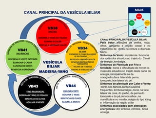 VB38
VB34
VB44
VB43
VB41
VB38
JING-RIO
DOMINA O YANG DO FÍGADO
ELIMINA O CALOR
RESOLVE A UMIDADE-CALOR
VB34
HE-MAR
PROMOVE O FLUXO SUAVEDO
QI DOFÍGADO
RESOLVE A UMIDADE-CALOR
REMOVE OBSTRUÇÕESDO
MERIDIANO
RELAXA OS TENDÔES
DOMINA A REBELIÃO DOQI
VB44
JING-NASCENTE
DOMINA O YANG
BENEFICIA OS OLHOS
ACALMA A MENTE
VB43
YING-MANANCIAL
DOMINA O YANG DO FÍGADO
BENEFICIA OS OLHOS
ACALMA A MENTE
VB41
SHU-RIACHO
DISPERSA O VENTO EXTERIOR
ELIMIONA O CALOR
ILUMINA OS OLHOS
BENEFICIA A GARGANTA
MAPA
CANAL PRINCIPÁL DA VESÍCULA BILIAR
Para tratar afecções da orelha, nuca,
olhos, garganta e região costal e no
tratamento de dores na cintura e doenças
febris.
Sintomas de Vazio: impotência funcional
dos músculos situados no trajeto do Canal
de energia ,lombalgia.
Sintomas de Plenitude por Frio e
Umidade: dores e dificuldade de mover os
músculos situados no trajeto deste canal de
energia,principalmente os da
coxa,joelho,face lateral da perna,
tornozelo,face lateral do pé.
Sintomas de plenitude por Calor e Vento
:dores nos flancos,surdez,suspiros
frequentes, lombosacralgia ,dores na face
lateral da coxa, do joelho, da perna,do
tornozelo e do pé,dor nos olhos ,na
mandíbula e no maxilar,otalgia do tipo Yang
e inflamação da região axilar
Sintomas associados com alterações
energéticas: dor torácica, vômitos, boca
amarga.
VESÍCULA
BILIAR
MADEIRA-YANG
CANAL PRINCIPAL DA VESÍCULA BILIAR
 