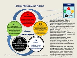 F2
F3
F4
F8
F1
F2
YING-MANANCIAL
ELIMINA O FOGODO FÍGADO
DOMINA O YANG DO FÍGADO
ESFRIA O SANGUE
DOMINA O VENTOINTERIOR
F3
SHU-RIACHO
DOMINA O YANG DOFÍGADO
EXPELE O VENTOINTERIOR
PROMOVE O FLUXO SUAVEDO
QI DOFÍGADO
ACALMA A MENTE
ACALMA OSESPASMOS
F4
JING-RIO
PROMOVE O FLUXO
SUAVEDO QI NO
AQUECEDOR INFERIOR
F8
HE-MAR
DISPERSA O VENTO EXTERIOR
ELIMINA O CALOR
ILUMINA OS OLHOS
BENEFICIA A GARGANTA
F1
JING-NASCENTE
REGULARIZA A MENSTRUAÇÃO
RESOLVE A UMIDADECALOR
PROMOVE O FLUXOSUAVE
DO QI DOFÍGADO
RESTAURA A CONSCIÊNCIA
MAPA
CANAL PRINCIPAL DO FÍGADO
Para tratar afecções da cabeça,do
hipocôndrio,da pelve,do sistema urogenital.
Sintomas de Vazio incluem:impotência
funcional nos músculos situados no trajeto
do Canal de energia,vertigem,fraqueza no
joelho, zumbido.
Sintomas de Plenitude por Frio e
Umidade: ventre doloroso e inchado,dor e
inchaço dos genitais,pele da bolsa escrotal
retraída ,membrosfrios.
Sintomas de Plenitude por Calor e
Vento :cefaléia,vertigem,visão
turva,febre,espasmo muscular ao longo
do trajeto desse Canal de Energia,
câimbras musculares, principalmente no
hálux.
Sintomas associados com alterações
energéticas:sensação de plenitude ou de
dor nos lados e no tórax, edema duro no
epigástrio ou no trajeto desse Canal de
Energia,dor abdominal, vômitos, icterícia,
febres,dor no abdome inferior,retenção
urinária,dores nos genitais,urina escura
FÍGADO
MADEIRA-YIN
CANAL PRINCIPAL DO FÍGADO
L.Andrada / E.F. Medeiros saam.acupunturabrasil.org
 