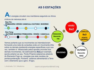 AS 5 ESTAÇÕES
VERÃO
Ba2
CANÍCULA
Ba3
PONTO
PROPRIO
OUTONO
Nascente
YANG
INVERNO
PRIMAVERA
Nascente
YIN
As energias circulam nos meridianos seguindo os ritmos
cíclicos da natureza,isto é:
Nos Yin:
PRIMAVERA VERÃO CANICULA OUTONO INVERNO
Nos Yang:
OUTONO INVERNO PRIMAVERA VERÃO CANICULA
Vemos portanto que os movimentos se interrelacionam
formando uma rede de conexões onde um movimento influi
sobre os demais,recebendo energias especificas e por sua
vez, também é influenciado pelos aportes oriundos dos
demais movimentos. Se estimularmos Ba2,por exemplo,
(ponto anterior ao seu Ponto Próprio) estaremos atraindo
do Elemento Fogo as energias que este recebeu da
pentacoordenação. Portanto estamos alimentando a Terra
com o Elemento que a gera (Fogo).
L.Andrada / E.F. Medeiros saam.acupunturabrasil.org
 