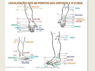 LOCALIZAÇÃO DOS 60 PONTOS SHU ANTIGOS E O CLIMA
L.Andrada / E.F. Medeiros saam.acupunturabrasil.org
 