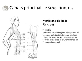 Canais principais e seus pontos
Meridiano do Baço
Pâncreas
21 pontos
Meridiano Yin – Começa no dedo grande do
pé, segue pelo bordo interno do pé , face
interna da perna e coxa , face anterior do
abdome e lateral do tórax , terminando no
7º espaço intercostal
 