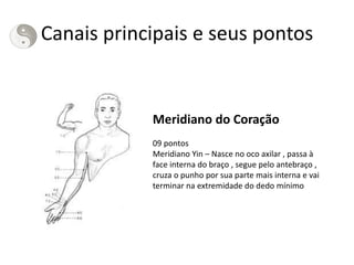 Canais principais e seus pontos
Meridiano do Coração
09 pontos
Meridiano Yin – Nasce no oco axilar , passa à
face interna do braço , segue pelo antebraço ,
cruza o punho por sua parte mais interna e vai
terminar na extremidade do dedo mínimo
 