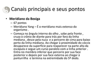 Canais principais e seus pontos
• Meridiano da Bexiga
– 67 pontos
– Meridiano Yang – É o meridiano mais extenso do
organismo .
– Começa no ângulo interno do olho , sobe pela fronte ,
cruza o crânio de diante para trás por fora da linha
mediana , desce pela nuca e a percorre de cima para baixo
perto da linha mediana. Ao chegar à proximidade do cóccix
desaparece da superfície para reaparecer na parte alta da
escápula e segue um curso paralelo com a linha anterior .
Entra no membro inferior que percorre por sua face
posterior e depois por sua face externa ao chegar à
panturrilha e termina na extremidade do 5º dedo.
 