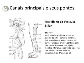 Canais principais e seus pontos
Meridiano da Vesícula
Biliar
44 pontos
Meridiano Yang – Nasce no ângulo
externo do olho , percorre o crânio ,
descrevendo uma série complexa de
curvas , chega ao ombro , continua pela
face lateral do tórax e desce pelo
membro inferior , percorrendo-o por sua
face externa para terminar na
extremidade do 4º dedo do pé
 