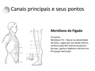 Canais principais e seus pontos
Meridiano do Fígado
14 pontos
Meridiano Yin – Nasce na extremidade
do halux , segue por seu bordo interno ,
continua pela face interna da perna e
da coxa , ganha o abdome e termina no
6º espaço intercostal
 