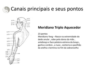 Canais principais e seus pontos
Meridiano Triplo Aquecedor
23 pontos
Meridiano Yang – Nasce na extremidade do
dedo anular , sobe pelo dorso da mão ,
antebraço e face póstero-extrena do braço ,
ganha o ombro , a nuca , contorna o pavilhão
da orelha e termina no fim da sobrancelha
 