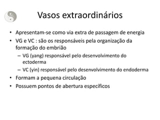 Vasos extraordinários
• Apresentam-se como via extra de passagem de energia
• VG e VC : são os responsáveis pela organização da
formação do embrião
– VG (yang) responsável pelo desenvolvimento do
ectoderma
– VC (yin) responsável pelo desenvolvimento do endoderma
• Formam a pequena circulação
• Possuem pontos de abertura específicos
 