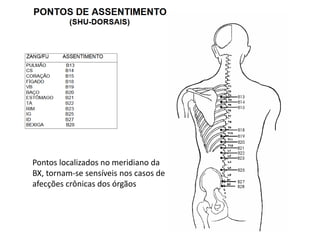 Pontos localizados no meridiano da
BX, tornam-se sensíveis nos casos de
afecções crônicas dos órgãos
 
