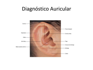 Diagnóstico Auricular
 