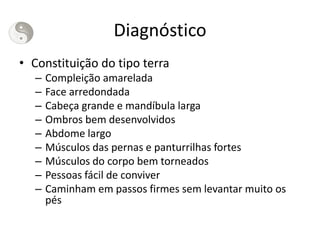 Diagnóstico
• Constituição do tipo terra
– Compleição amarelada
– Face arredondada
– Cabeça grande e mandíbula larga
– Ombros bem desenvolvidos
– Abdome largo
– Músculos das pernas e panturrilhas fortes
– Músculos do corpo bem torneados
– Pessoas fácil de conviver
– Caminham em passos firmes sem levantar muito os
pés
 