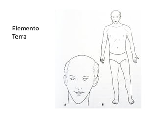 Elemento
Terra
 