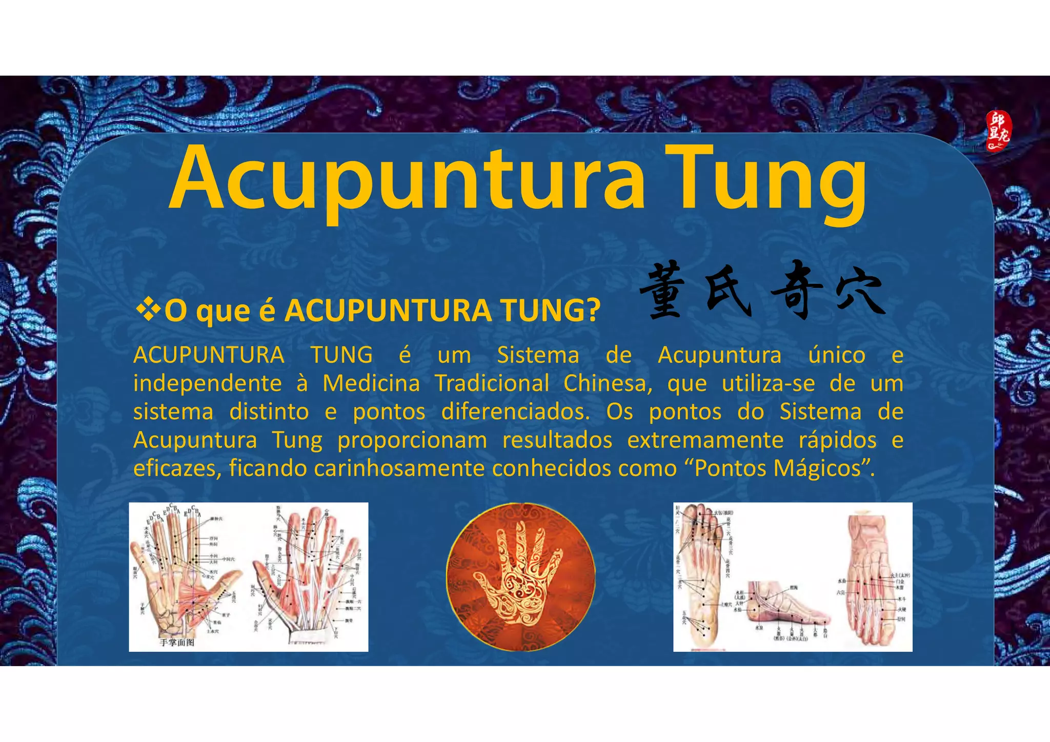 Introduccion A La Acupuntura De Tung Pdf