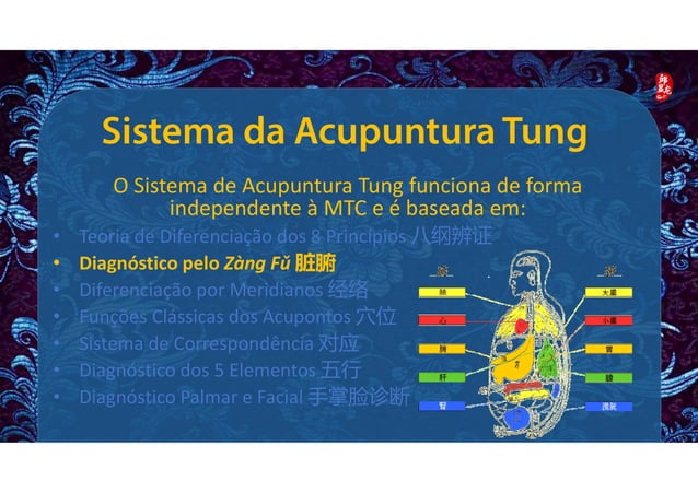 Acupuntura de mestre tung | PDF