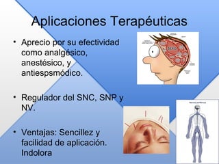 Aplicaciones Terapéuticas
• Aprecio por su efectividad
como analgésico,
anestésico, y
antiespsmódico.
• Regulador del SNC, SNP y
NV.
• Ventajas: Sencillez y
facilidad de aplicación.
Indolora
 
