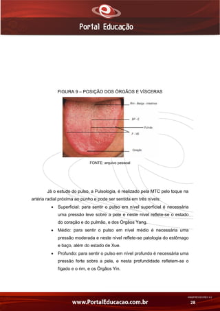AN02FREV001/REV 4.0
28
FIGURA 9 – POSIÇÃO DOS ÓRGÃOS E VÍSCERAS
FONTE: arquivo pessoal
Já o estudo do pulso, a Pulsologia, é realizado pela MTC pelo toque na
artéria radial próxima ao punho e pode ser sentida em três níveis:
 Superficial: para sentir o pulso em nível superficial é necessária
uma pressão leve sobre a pele e neste nível reflete-se o estado
do coração e do pulmão, e dos Órgãos Yang.
 Médio: para sentir o pulso em nível médio é necessária uma
pressão moderada e neste nível reflete-se patologia do estômago
e baço, além do estado de Xue.
 Profundo: para sentir o pulso em nível profundo é necessária uma
pressão forte sobre a pele, e nesta profundidade refletem-se o
fígado e o rim, e os Órgãos Yin.
 