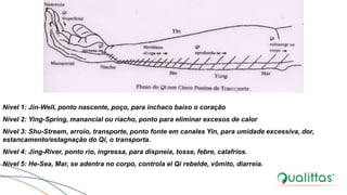 Nível 1: Jin-Well, ponto nascente, poço, para inchaco baixo o coração
Nível 2: Ying-Spring, manancial ou riacho, ponto para eliminar excesos de calor
Nível 3: Shu-Stream, arroio, transporte, ponto fonte em canales Yin, para umidade excessiva, dor,
estancamento/estagnação do Qi, o transporta.
Nível 4: Jing-River, ponto rio, ingressa, para dispneia, tosse, febre, calafríos.
Nível 5: He-Sea, Mar, se adentra no corpo, controla el Qi rebelde, vômito, diarreia.
 