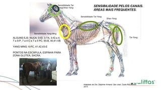 Sensibilidade Tai-
Yang/Shao-Yang
Sensibilidade Yang-Ming
Sensibilidade Tai-Yang
Shao-Yang
Tai-Yang
Adaptado de Dra. Delphine Armand: San José, Costa Rica, Enero
2013.
SENSIBILIDADE PELOS CANAIS.
ÁREAS MAIS FREQUENTES.
ALGUNS EJS: NUCA: 3-ID, 3-TA, 3-IG e 4,
7 a 9-P, 7 a 4 C e 7 a 5 PC. 65-B, 40,41-VB
YANG MING: 6-PC, 41,42,43-E
PONTOS NA ESCÁPULA, ESPINHA PARA
ZONA GLÚTEA, SACRA.
 