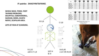 5º padrão: SHAOYIN/TAIYANG.
WHOLE BACK, TENSE, FOOT
TAIYANG PROBLEMS,
OCCIPITUS, COXOFEMORAL,
SACRUM, SEMIS, SCIATIC
NERVE, SCAPULAR AREA.
LOTS OF PAIN AT SCANNING.
ID-3,8
R-3,10
add in F-1,8
B-65,40
e em VB-44,34
C-3,8
SIST III
& VI
_______ 8
___ ___
___ ___
_______ 3
___ ___
___ ___
___ ___ 10
___ ___
___ ___
___ ___ 3
___ ___
___ ___
___ ___ 3
_______
_______
___ ___ 8
_______
_______
______ 40
______
______
______ 65
______
______
 