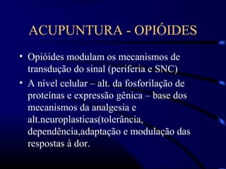 ACUPUNTURA - OPIÓIDES
• Opióides modulam os mecanismos de
transdução do sinal (periferia e SNC)
• A nível celular – alt. da fosforilação de
proteínas e expressão gênica – base dos
mecanismos da analgesia e
alt.neuroplasticas(tolerância,
dependência,adaptação e modulação das
respostas à dor.
 