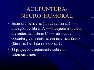 ACUPUNTURA-
NEURO_HUMORAL
• Estímulo periferia (input sensorial)
ativação de fibras A bloqueio impulsos
aferentes das fibras C atividade
opioidérgica inibitória em interneurônios
(lâminas I e II da raiz dorsal) :
• 1) projeção diretamente sobre os
interneurônios
 