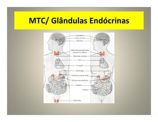 MTC/ Glândulas Endócrinas
 