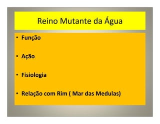 Reino Mutante da Água
• Função
• Ação
• Fisiologia
• Relação com Rim ( Mar das Medulas)
 