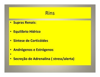 Rins
• Supras Renais:
• Equilíbrio Hídrico
• Síntese de Corticóides
• Andrógenos e Estrógenos
•
• Secreção de Adrenalina ( stress/alerta)
 
