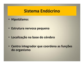Sistema Endócrino
• Hipotálamo:
• Estrutura nervosa pequena
• Localização na base do cérebro
• Centro integrador que coordena as funções
do organismo
 
