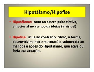 Hipotálamo/Hipófise
• Hipotálamo: atua na esfera psicoafetiva,
emocional no campo da idéias (invisível)
• Hipófise: atua ao contrário: ritmo, a forma,
desenvolvimento e maturação, submetida ao
mandos e ações do Hipotálamo, que ativa ou
freia sua atuação.
 