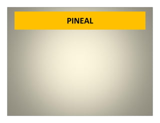 PINEAL
 