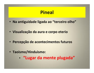 Pineal
• Na antiguidade ligada ao “terceiro olho”
• Visualização da aura e corpo eterio
• Percepção de acontecimentos futuros
• Taoismo/Hinduismo:
• “Lugar da mente plugada”
 
