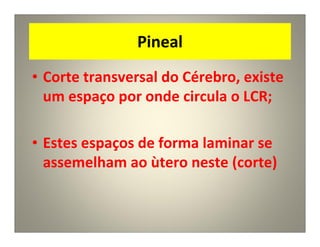 Pineal
• Corte transversal do Cérebro, existe
um espaço por onde circula o LCR;
• Estes espaços de forma laminar se
assemelham ao ùtero neste (corte)
 